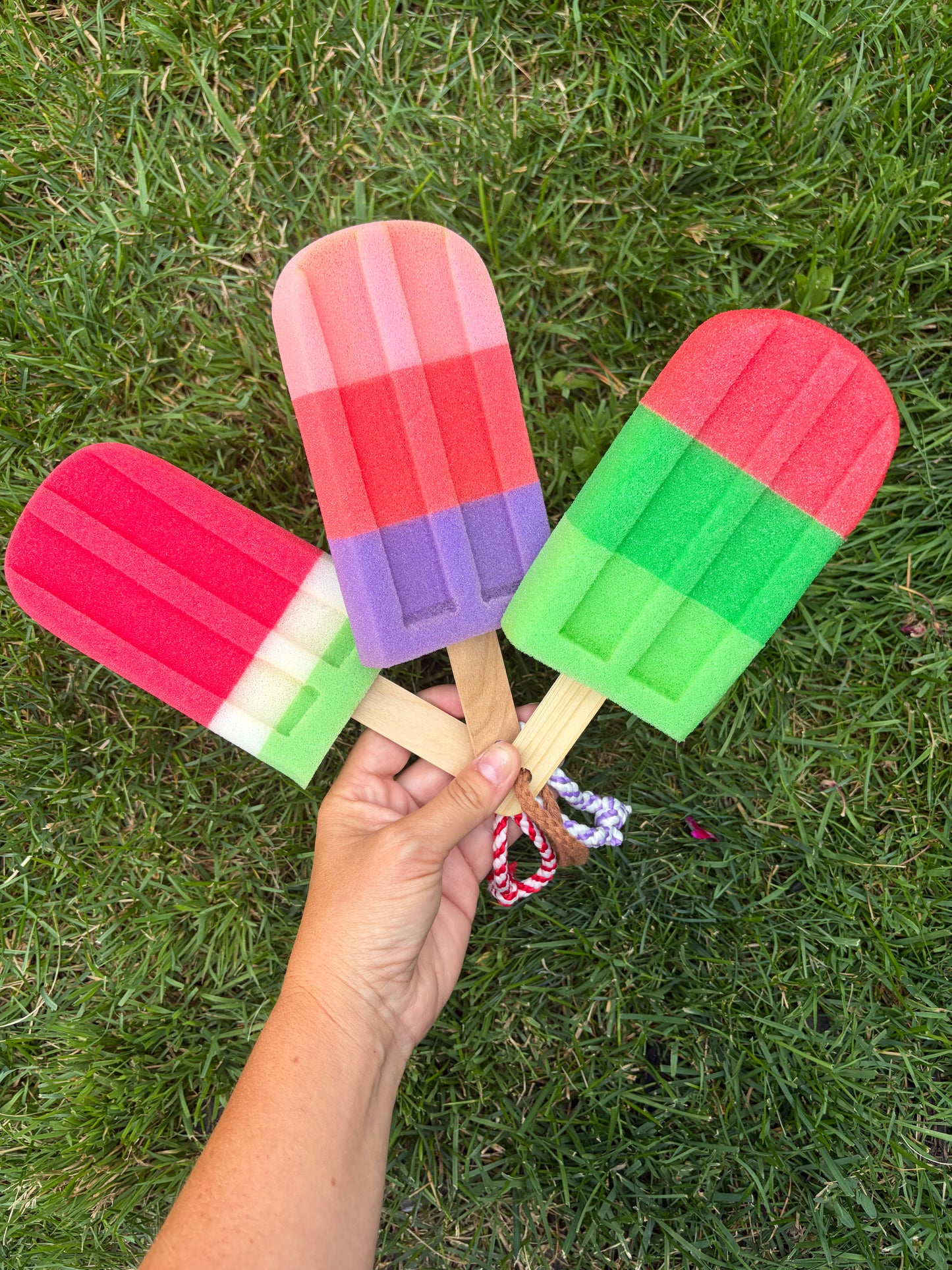 Popsicle sponge