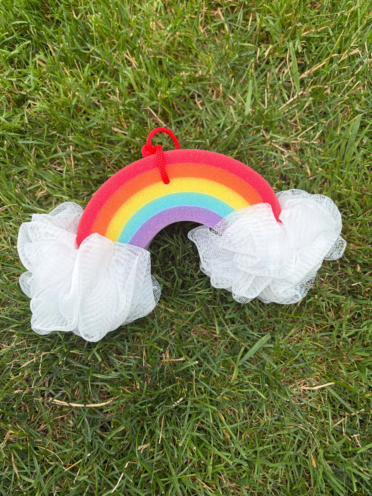 Rainbow Sponge