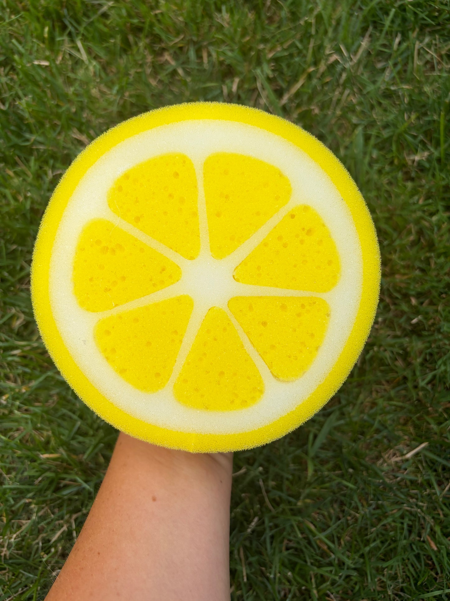 Lemon Sponge